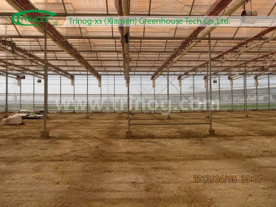 Auto shading screen Polycarbonate Agricultural Greenhouse with motor vent