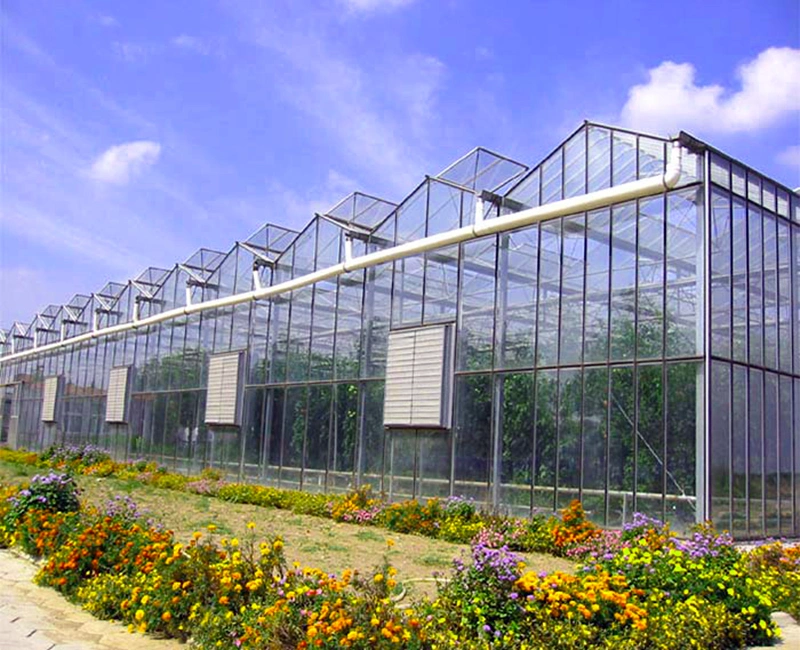Intelligent/Glass Greenhouse Farm/Breeding/Ecological Restaurant Greenhouse
