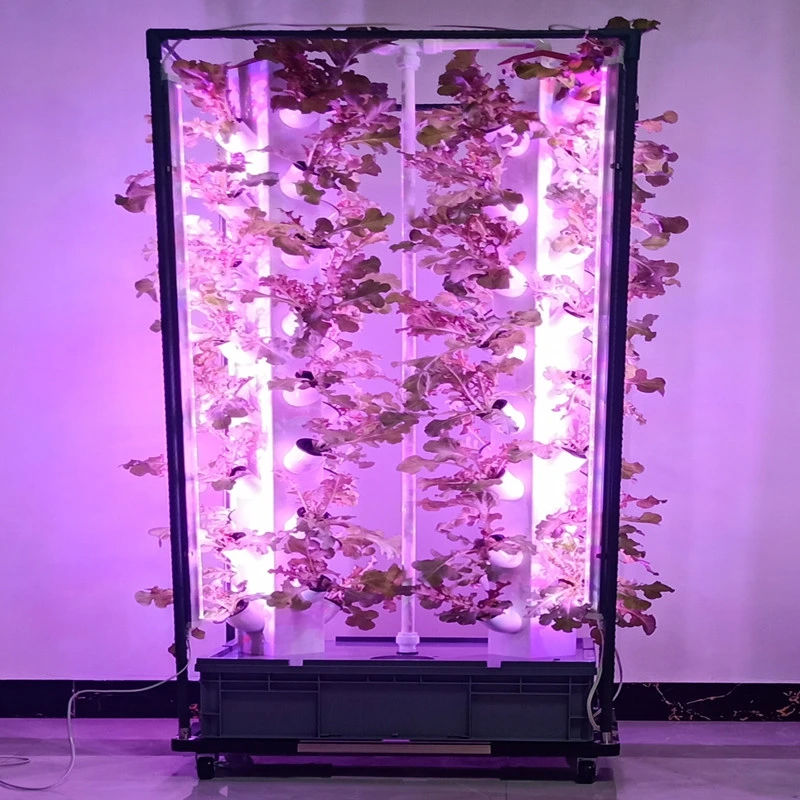 Commercial Vertical Hydroponics LED Grow Light Aquaponics System Kits