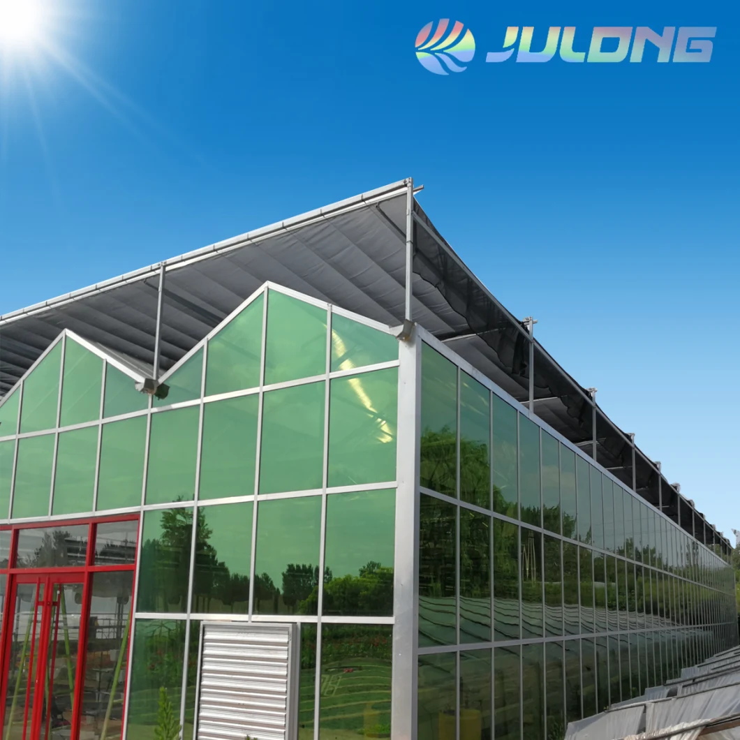 Greenhouse Frame Tempered Glass Panels Galvanized Steel Frame Greenhouse