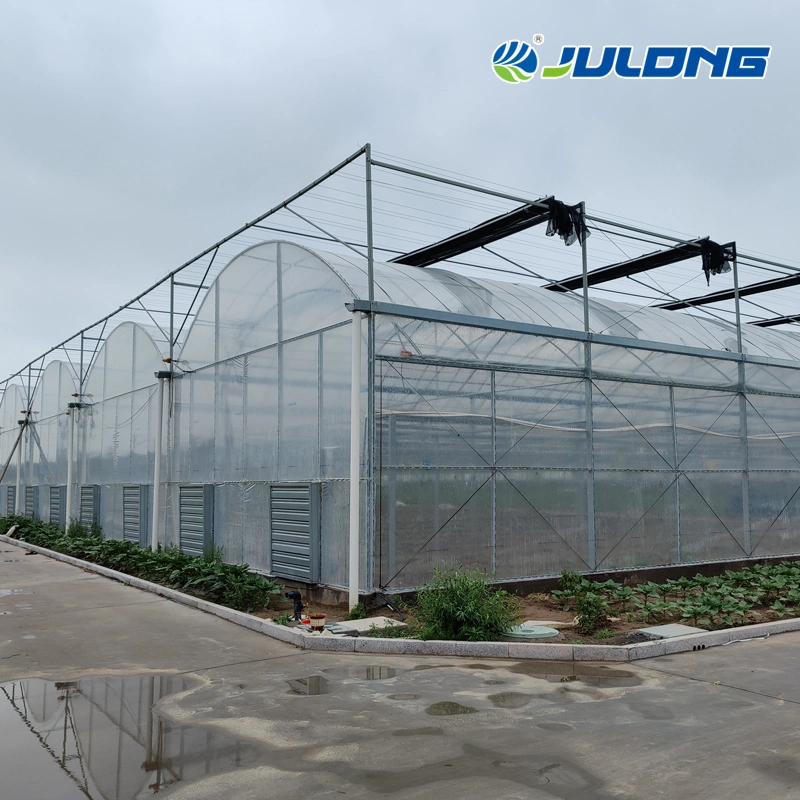 Good Insulation Effect Double Layer Coverd Polycarbonate Greenhouse for Hydroponic System Vegetable Tomato/Cucumber/Eggplant/Pepper