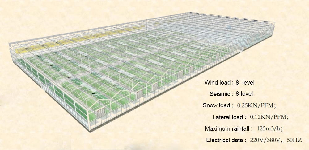 Commercial Hydroponic Agricultural Lettuce Nft Greenhouse