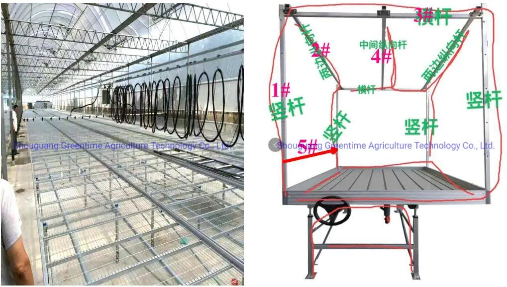 Arch Type PE/Po Film Agricultural Multi-Span Greenhouse for Planting Cucumber