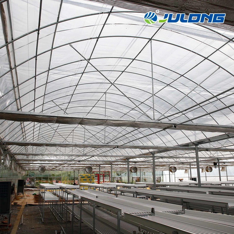 Agricultural Multi-Span/Single-Span/Tunnel Plastic Film Greenhouse with Irrigation System