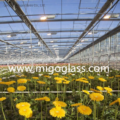 Ad 4.0mm Tempered Patterned Glass Diffused Glass with Ce Certified Greenhouse Glass