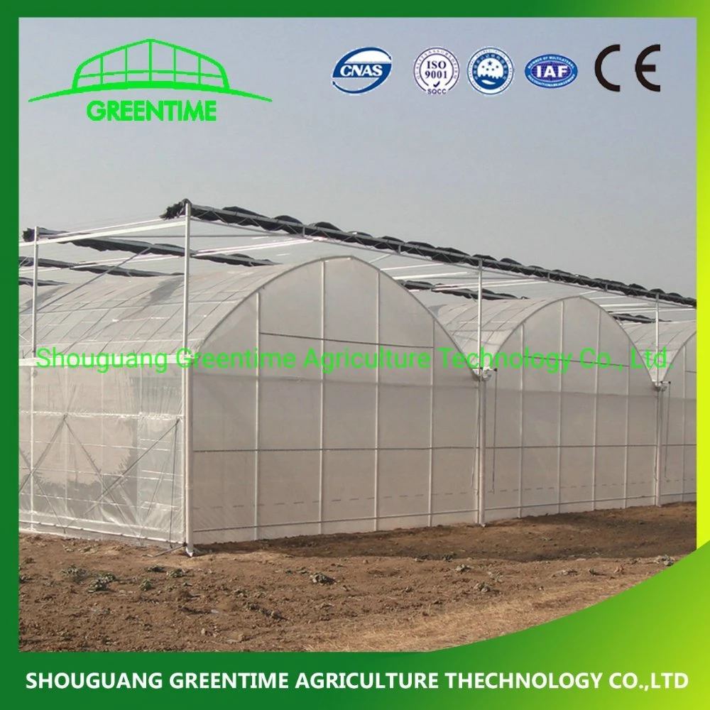 Hot Sale Multi-Span Film Agricultural Greenhouse for Tomato/ Cucumber Planting