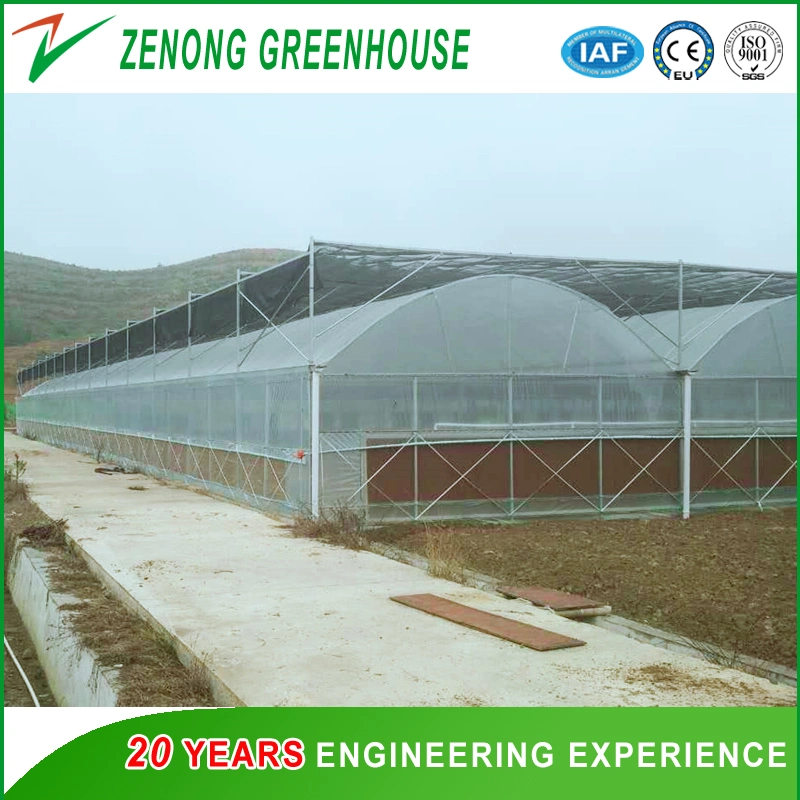 Polytunnel Curved Arch Plastic Film Greenhouses with Shading System for Cooling Down