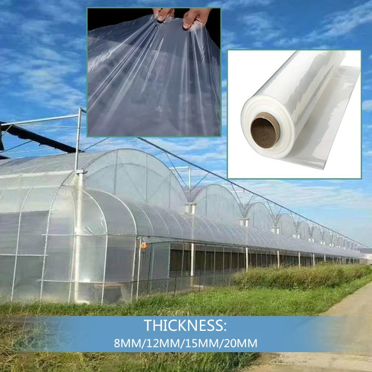 High Tunnel Aquaponics Systems Agricultural Greenhouses