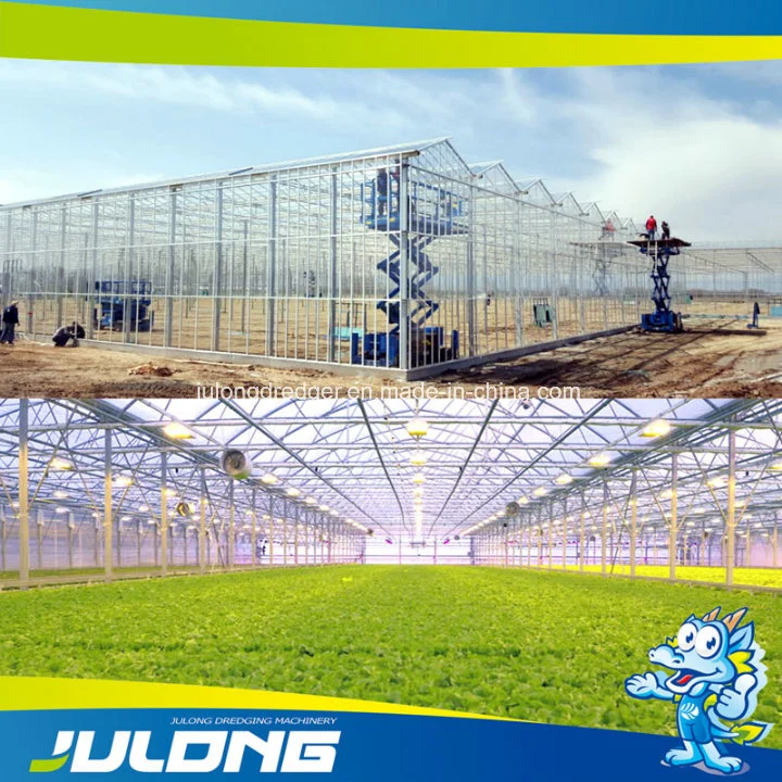 Good Quality Tomato and Strawberry Hydroponic Venlo Glass Greenhouse