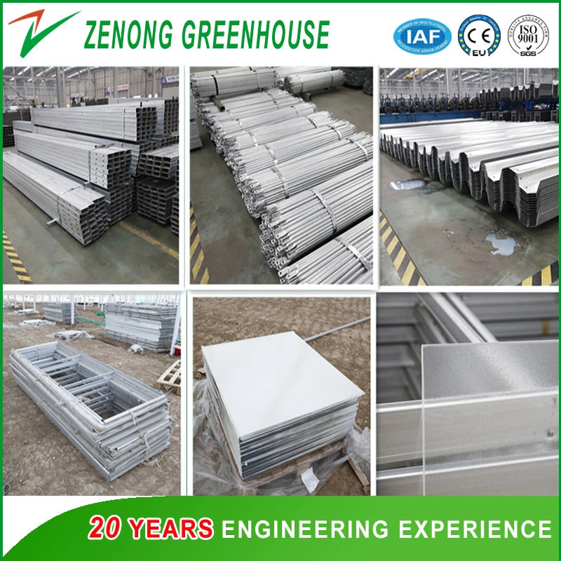 Zenong Turn-Key Greenhouse Project High Quality PC Greenhouse for Hydroponics/Seed Breeding/Eco Restaurant