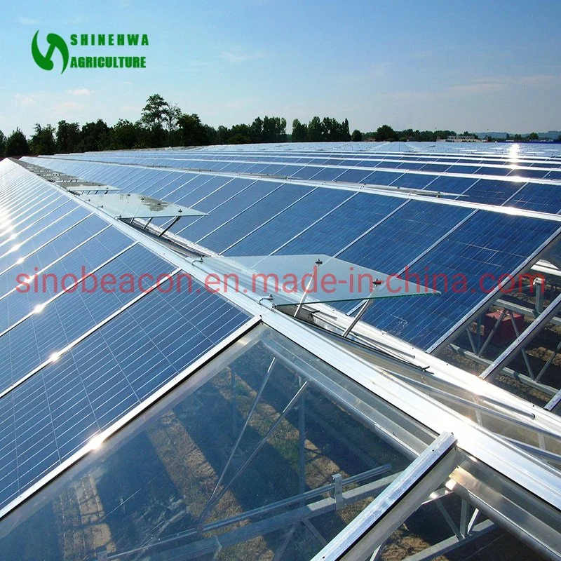 Venlo Typ Multi-Span Solar Photovoltaic Glass Greenhouse for Sale