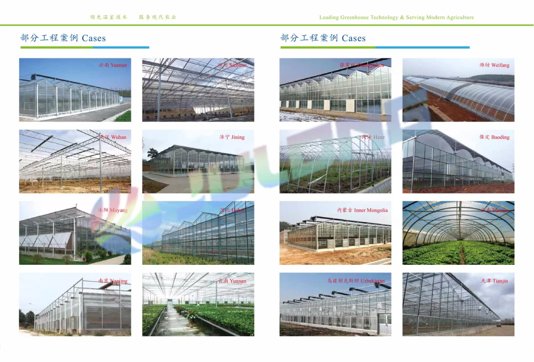 High Standard Glass Intelligent Greenhouse for Vegetable Flowers