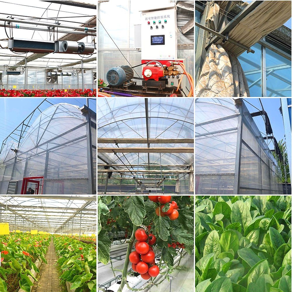 Smart Multi-Span Film Greenhouse for Agriculture