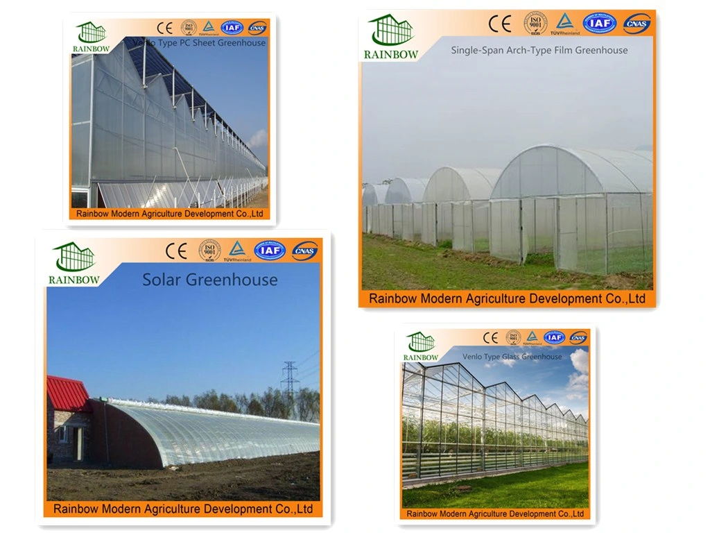 Multi Span Greenhouse with Ventilation System and Shading System