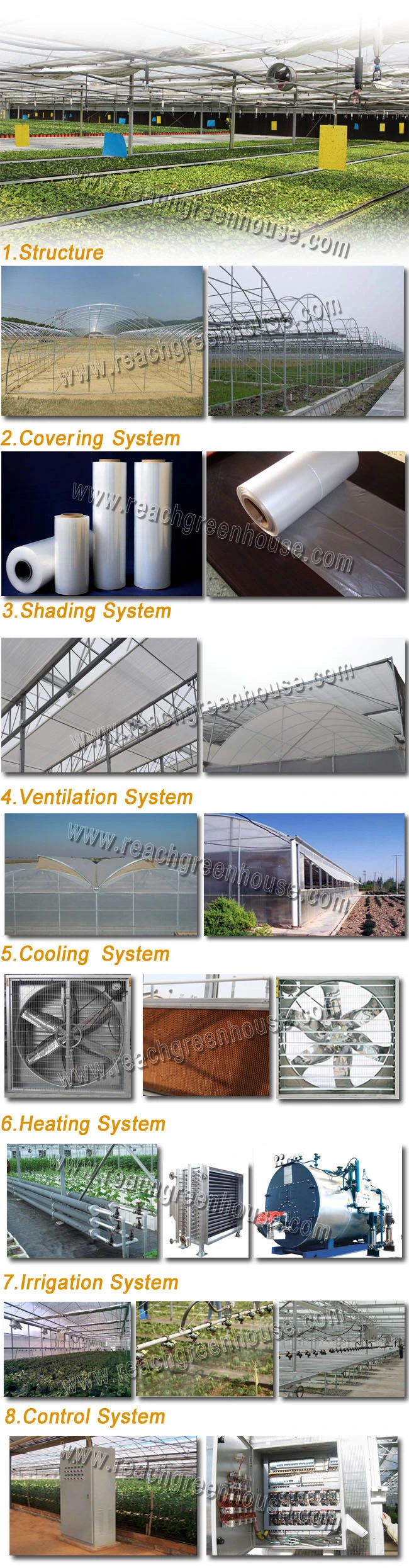 Commercial/Hydroponic Single Span Plastic Film Greenhouse for Vegetable Planting