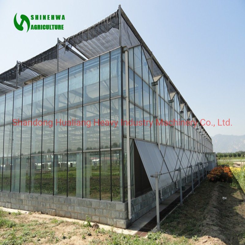 Flat/Curved Tempered Glass for Glass Greenhouse/Pool Fence/Glass Table Top/ Shower Door