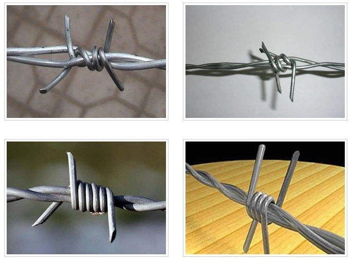 12 Gauge 14 Gauge Galvanized and PVC Coated Barbed Wire