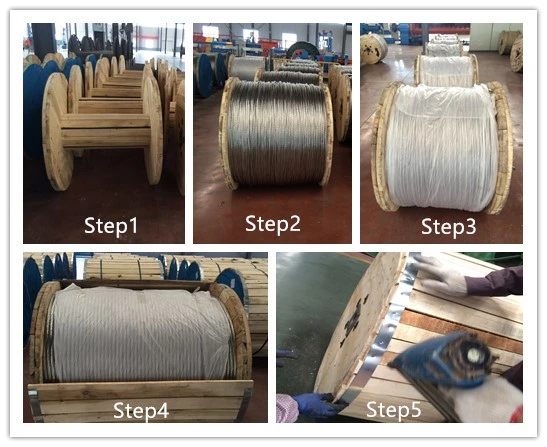 Zinc Coated Galvanized Steel Wire Strand Ehs Stay Wire/Earth Wire/Guy Wire (GSW)