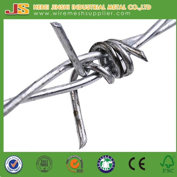 14 Gauge Galvanized Twisted Barbed Wire