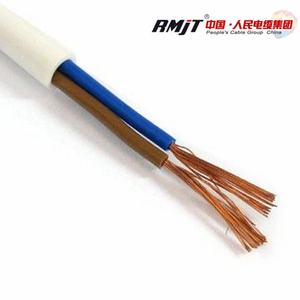 Factory Supply BVV Wire Electrical Wire Multiple Cores 2*1.5mm2 Housing Electrical Wire