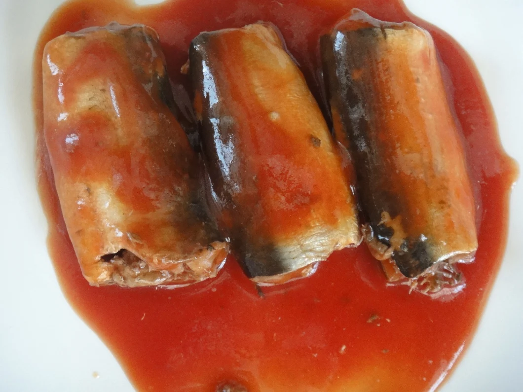 Canned Fish Fresh Seafood Sardines Tomato Sauce with Halal Certificate