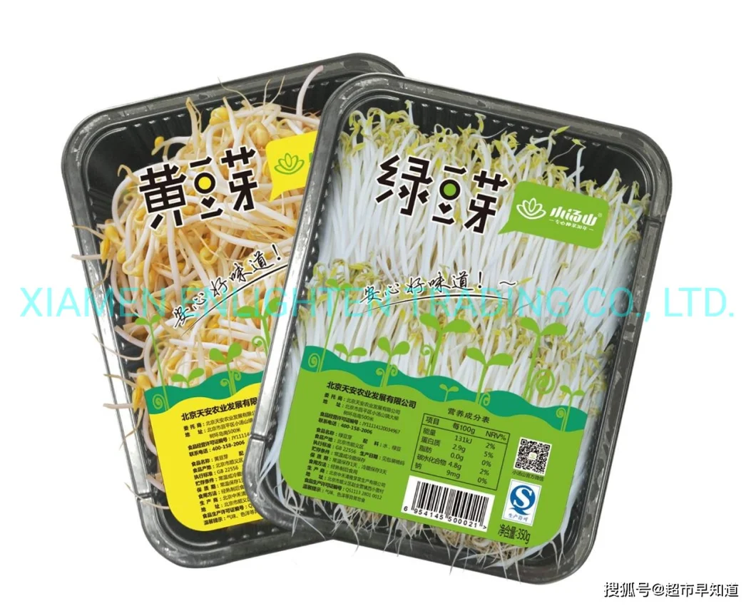 Canned Food Canned Bean Sprouts with Private Label Pictures & Photos Canned Food Canned Bean for Whole Sale