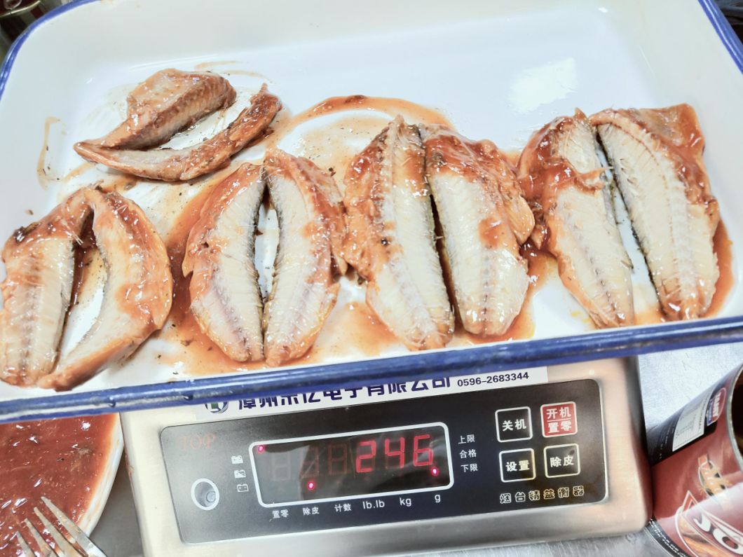 Canned Food Canned Mackerel Fresh Fish in Tomato Sauce