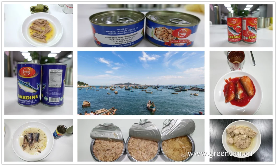 Canned Food Canned Sardines Fish in Tomato Sauce From Chinese Wholesale