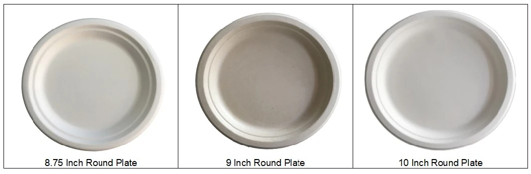 8 Inch Compostable Square Plate, Salad, and Luncheon Plate Made From Bagasse Sugarcane Fiber