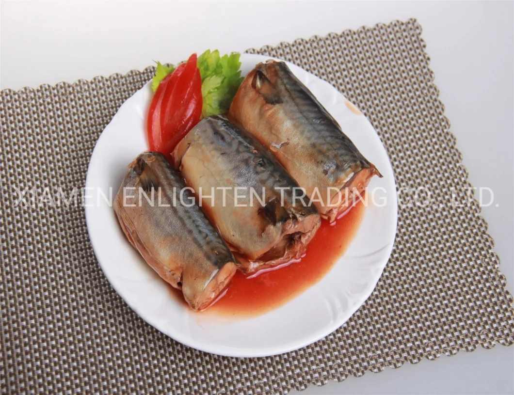 Best Canned Food Mackerel in Tomato Sauce
