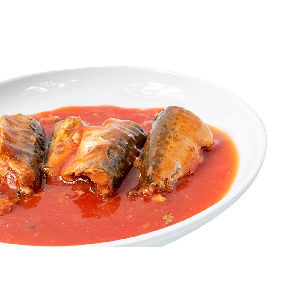 Canned Fish Fresh Seafood Sardines Tomato Sauce with Halal Certificate