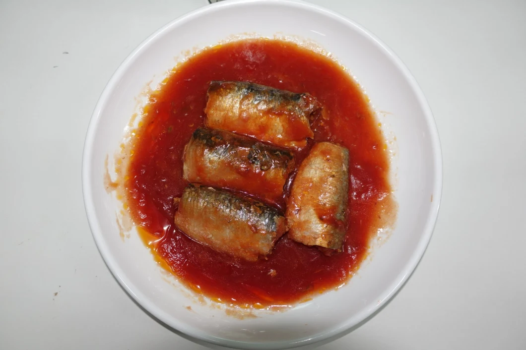 China Fish Canned Sardines in Tomato Sauce, in Brine, in Oil