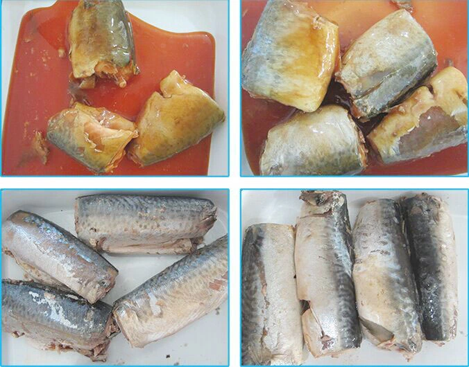 Export High Quality Canned Mackerel Fish Canned Fish
