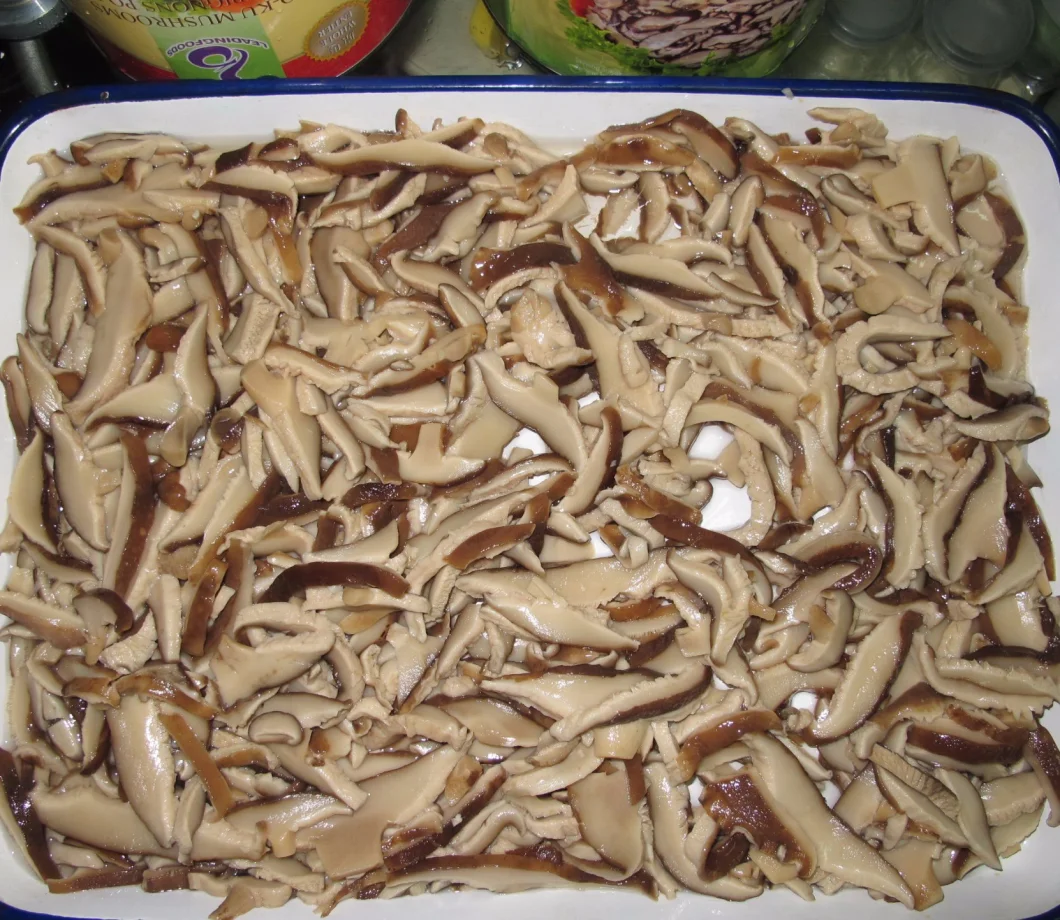 Canned Food Canned Shiitake Mushroom Sliced with Private Label