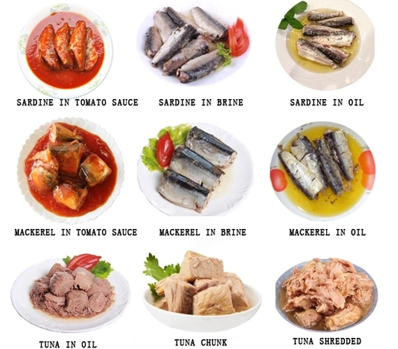 Canned Food Canned Fish Canned Sardine/Tuna/Mackerel in Tomato Sauce/Oil/Brine 125g 155g 425g