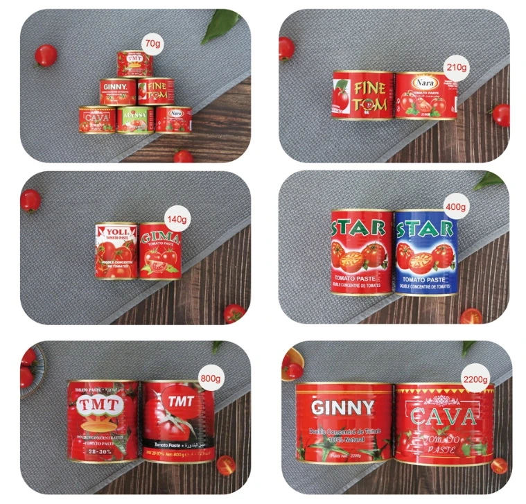 Tomato Paste Sauce 70g in Tins From Prc