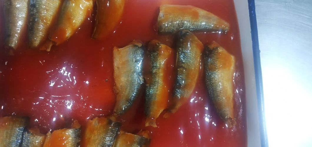 Fresh Meat Canned Sardine in Tomato Sauce and Able to Be Eaten by Pets