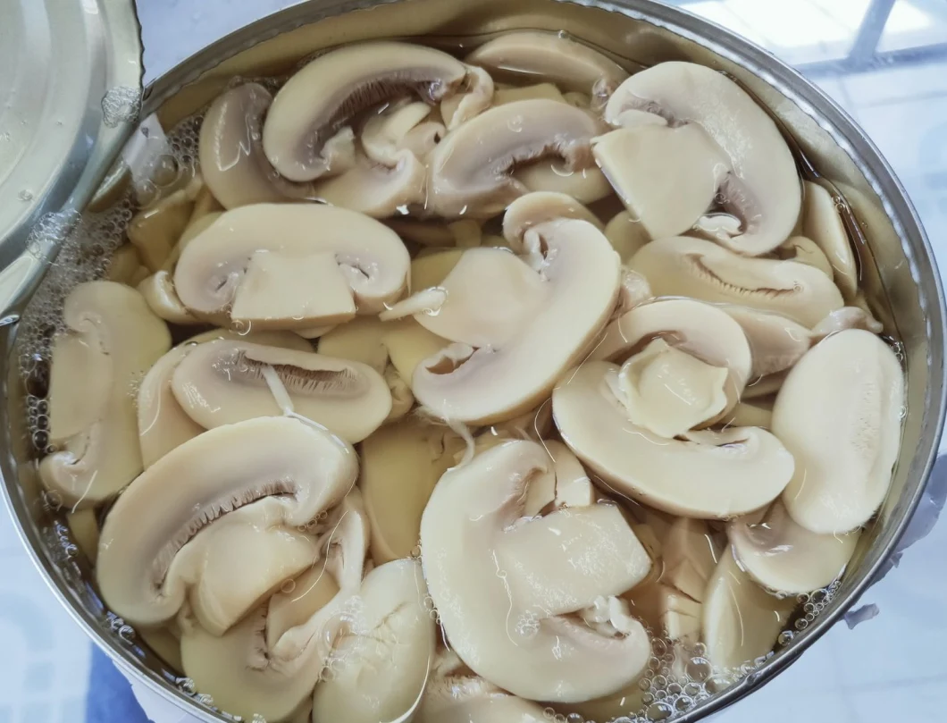 Canned Food Canned Mushroom Slices with Super Quality
