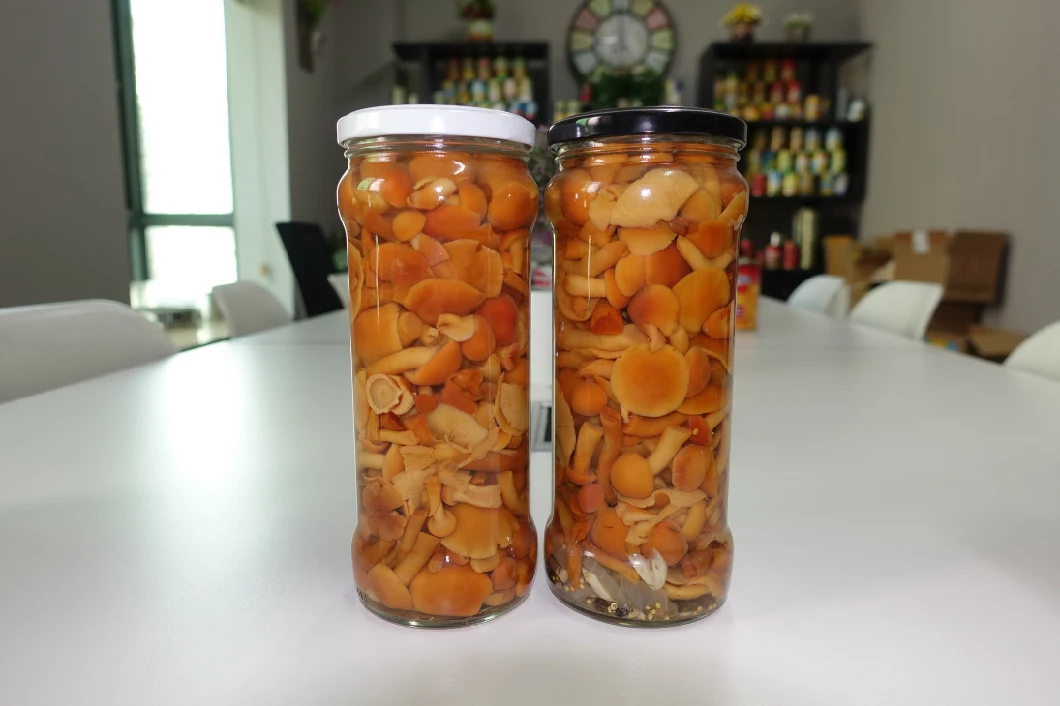Fresh Food Canned Nameko Mushrooms in Brine