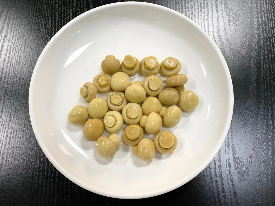 Canned Food Whole White Mushrooms From China