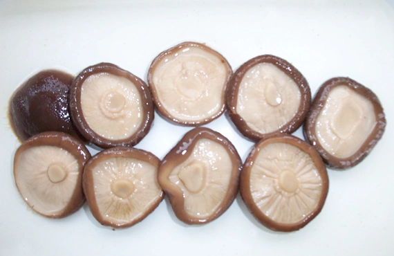 Health Food Canned Shiitake Mushrooms From China