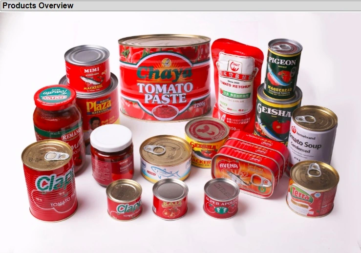 Best Canned Mackerel in Tomato Sauce From China