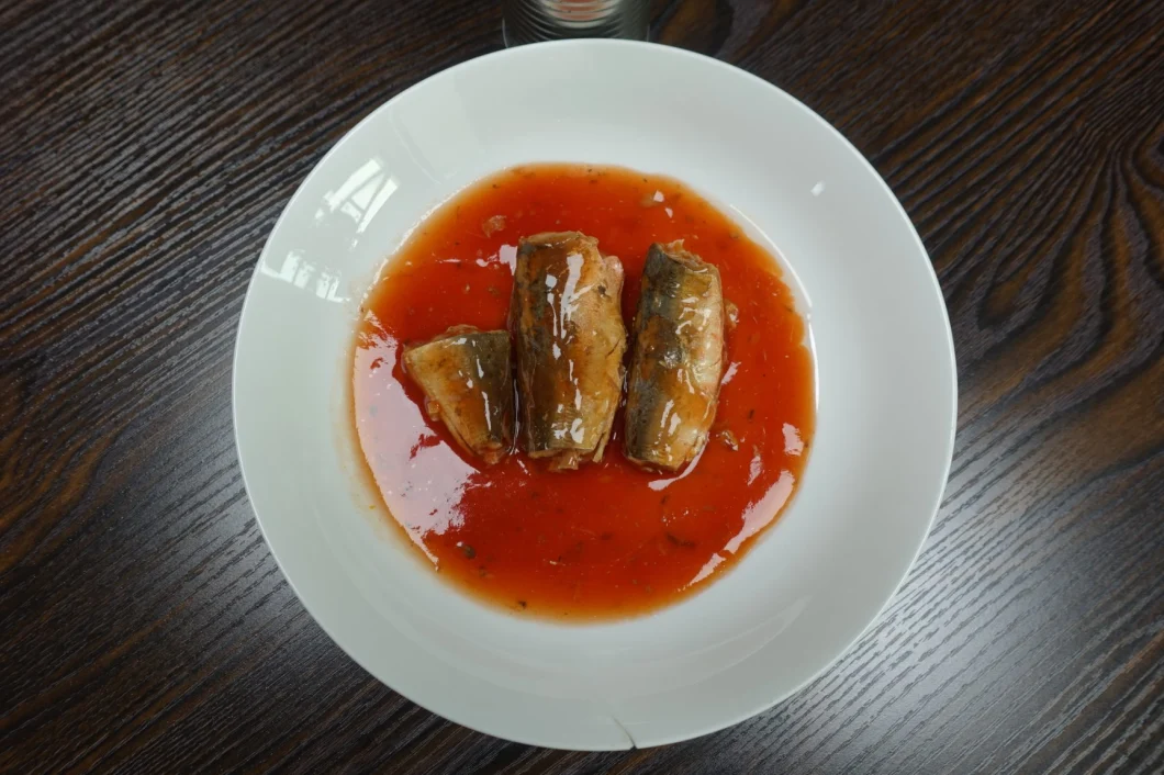 Canned Mackerel in Tomato Sauce with Private Label for Chile