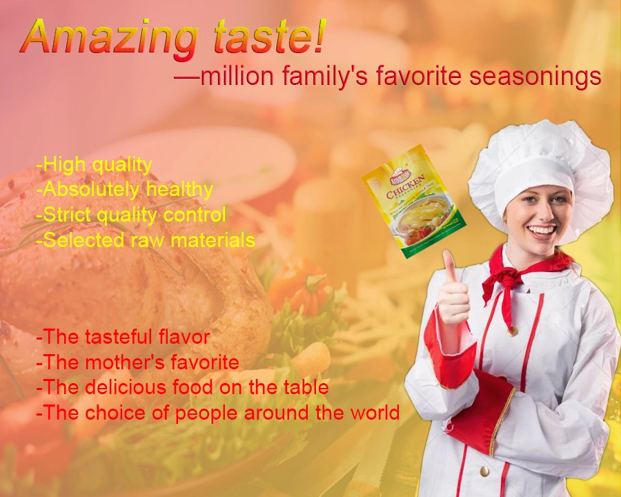 10g Halal Vegetable Seasoning Powder/ Beef Seasoning for Soup,