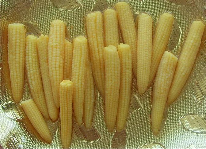 Canned Food Canned Young Corn From China