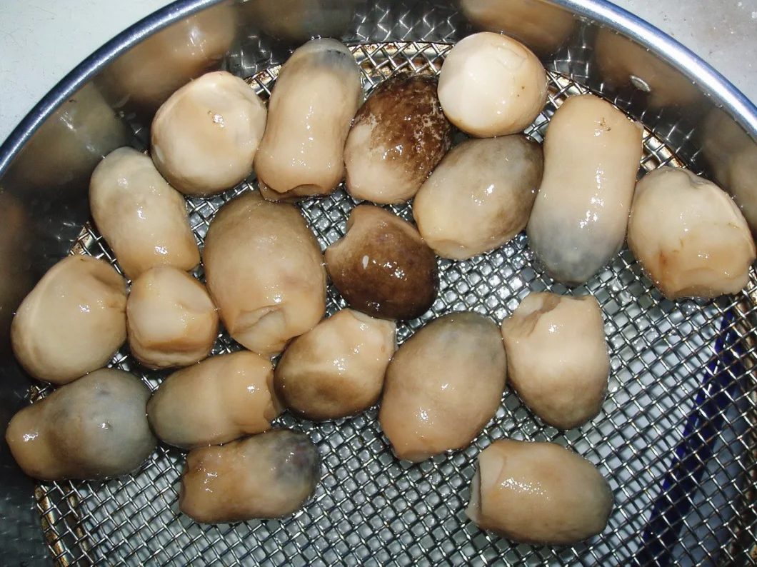 China Canned Straw Mushroom in Halve