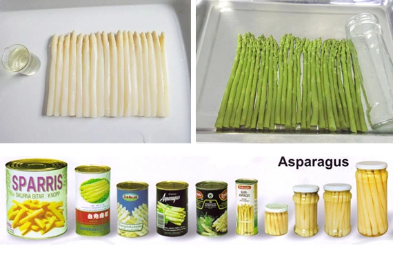Canned Food Canned Asparagus From China