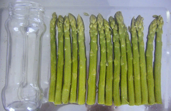 Canned Food Green Asparagus with High Quality