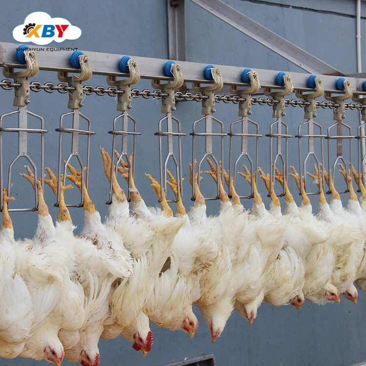 Poultry Meat Chicken Plucking Processing Line Machines/Chicken Processing Plant Equipment