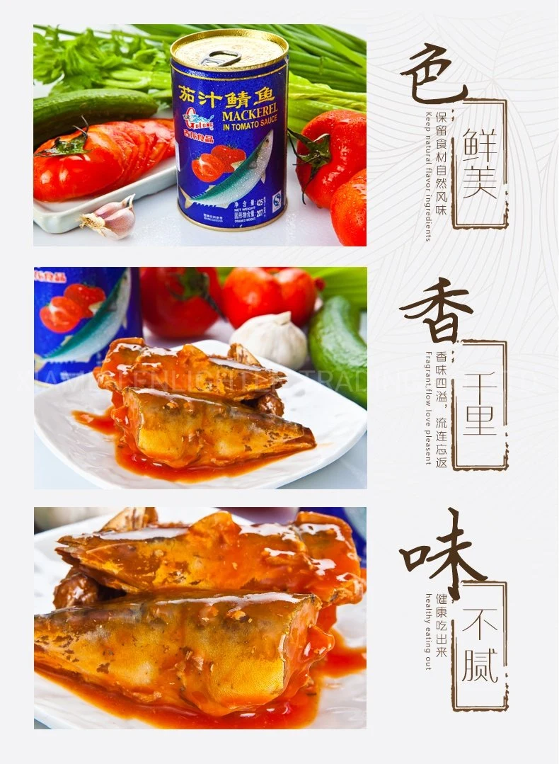 3-5PC 425g Easy Open Lid Canned Mackerel in Tomato Sauce